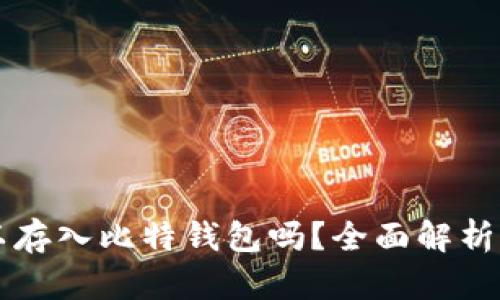 狗狗币可以存入比特钱包吗？全面解析与使用指南