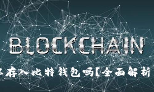 狗狗币可以存入比特钱包吗？全面解析与使用指南