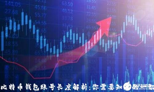 
比特币钱包账号长度解析：你需要知道的一切