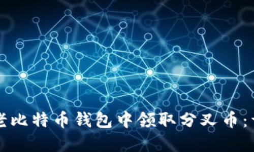如何在老比特币钱包中领取分叉币：详细指南