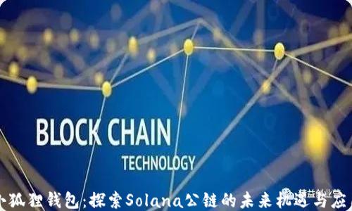 小狐狸钱包:探索Solana公链的未来机遇与应用