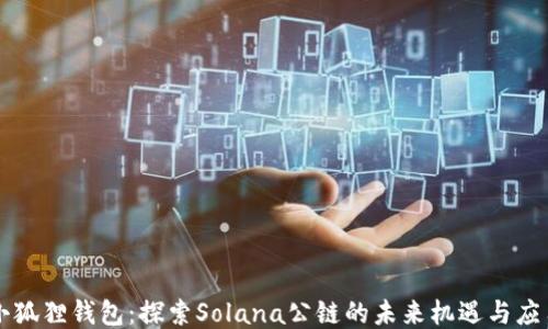 小狐狸钱包:探索Solana公链的未来机遇与应用