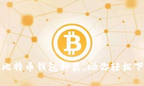 全面解析比特币钱包种类，助你轻松下载与选择