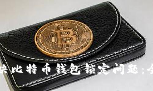 如何解决比特币钱包锁定问题：全面指南
