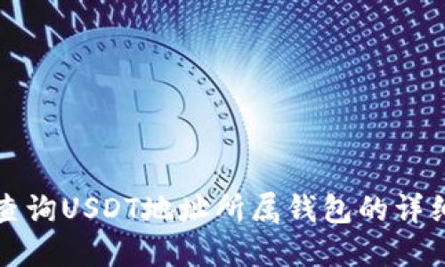 如何查询USDT地址所属钱包的详细方法