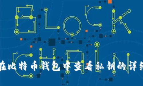 如何在比特币钱包中查看私钥的详细指南