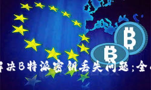 如何解决B特派密钥丢失问题：全面指南