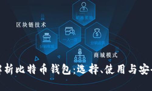 全面解析比特币钱包：选择、使用与安全策略
