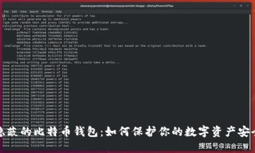 隐蔽的比特币钱包：如何保护你的数字资产安全
