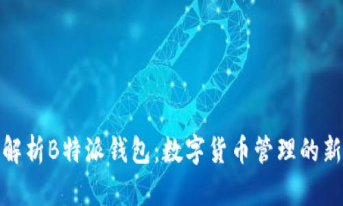 全面解析B特派钱包：数字货币管理的新选择