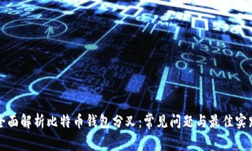 全面解析比特币钱包分叉：常见问题与最佳实践