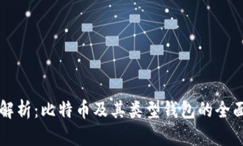 综合解析：比特币及其类型钱包的全面指南