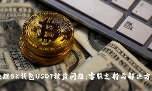 如何处理BK钱包USDT被盗问题：客服支持与解决方案指南