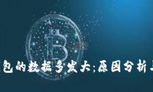  以太坊钱包的数据多发大：原因分析与未来展望