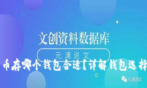 比特币存哪个钱包合适？详解钱包选择指南