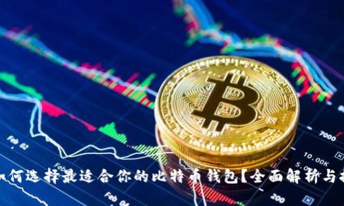 : 如何选择最适合你的比特币钱包？全面解析与推荐