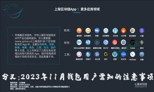 比特币分叉：2023年11月钱包用户需知的注意事项与指南