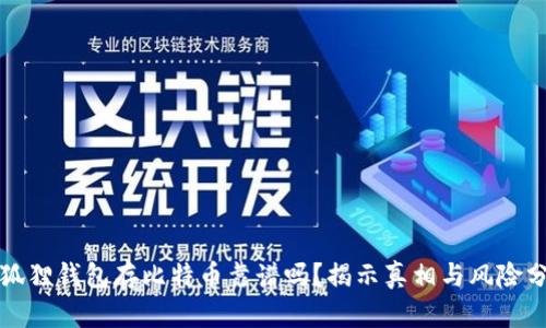 小狐狸钱包存比特币靠谱吗？揭示真相与风险分析