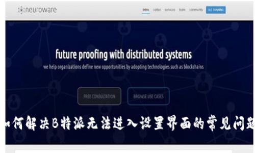 如何解决B特派无法进入设置界面的常见问题