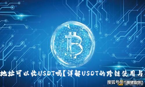 ETH钱包地址可以收USDT吗？详解USDT的跨链使用与钱包选择