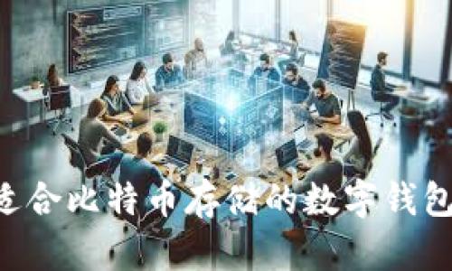 如何选择适合比特币存储的数字钱包：全面指南