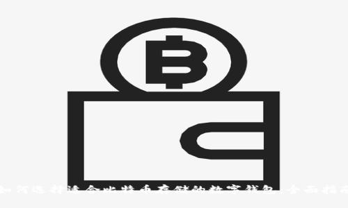 如何选择适合比特币存储的数字钱包：全面指南