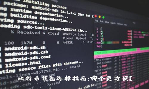 比特币钱包选择指南：哪个更方便？
