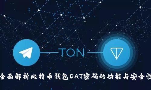 全面解析比特币钱包DAT密码的功能与安全性