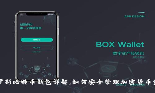 俄罗斯比特币钱包详解：如何安全管理加密货币资产