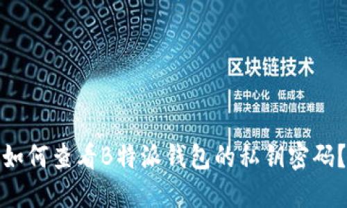 如何查看B特派钱包的私钥密码？