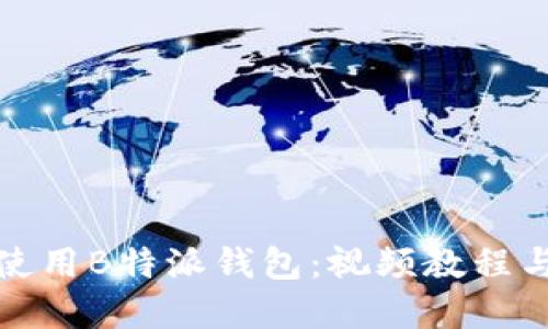 如何高效使用B特派钱包：视频教程与实用技巧