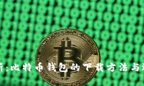 全面解析：比特币钱包的下载方法与选择指南