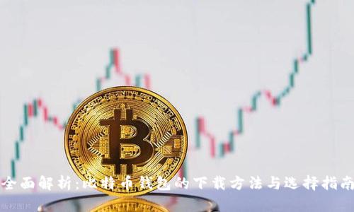全面解析：比特币钱包的下载方法与选择指南