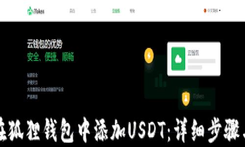 
如何在狐狸钱包中添加USDT：详细步骤与技巧