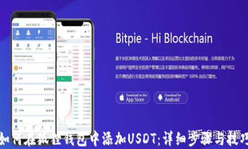 
如何在狐狸钱包中添加USDT：详细步骤与技巧