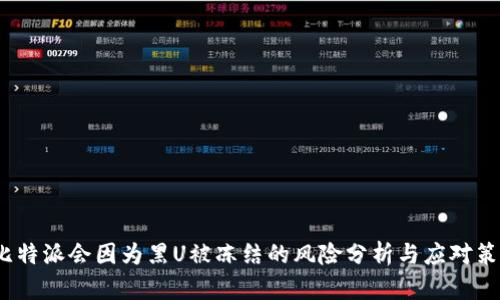  比特派会因为黑U被冻结的风险分析与应对策略